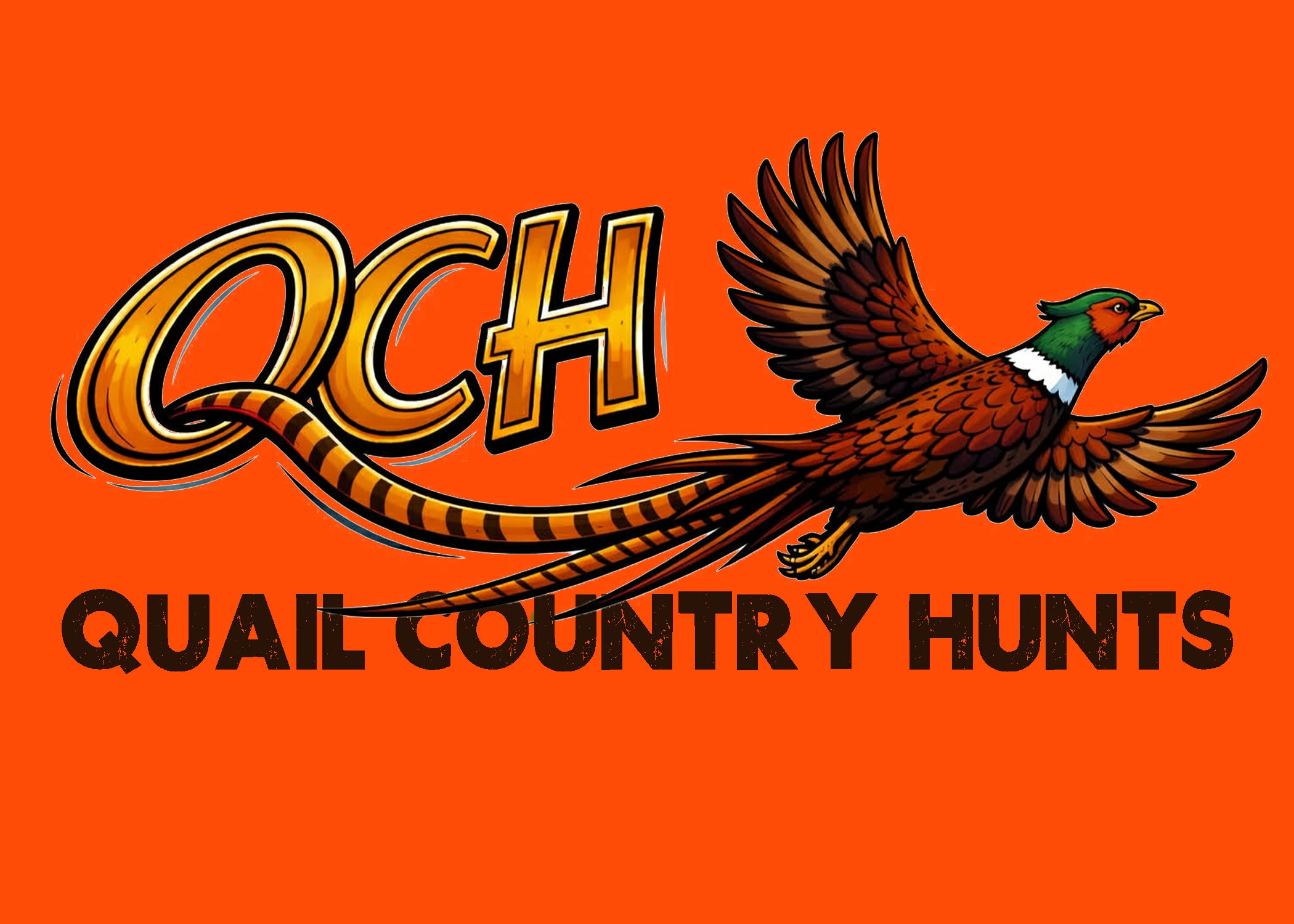 Superbird Sunday - Design 2 - On Orange